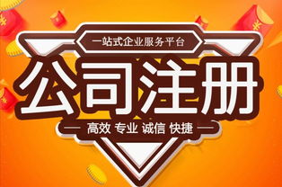 武昌注冊公司代辦服務 為軟件服務行業保駕護航